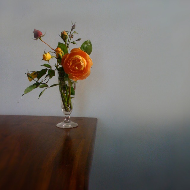 rosehiver